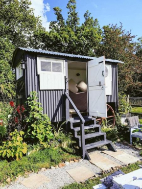 Shepherds hut with Alpaca views